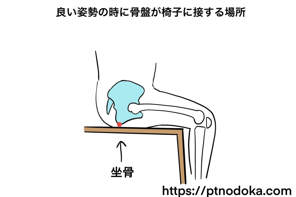 どうして骨盤矯正椅子は座る姿勢を良くしてくれるのか？